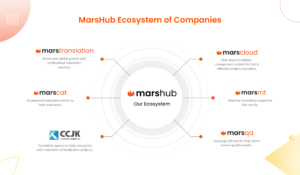 MarsHub Since 2002 – An Overview of the Company’s Objectives, Achievements, Expertise, and Core Philosophy